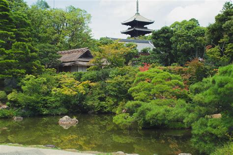 仁和寺 孔雀明王|仁和寺の見どころ 歴史と庭園を巡るおすすめスポット